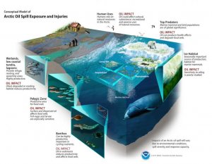 Cut-away drawing showing oil spill dilemmas at numerous sea depths