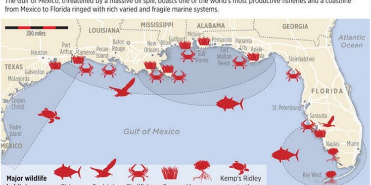 Oil spills in Florida