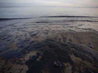 PICTURE: Spilled oil covers the coastline at Refugio State Beach as Channel Islands have emerged within the length  may 19, 2015 north of Goleta, Calif.