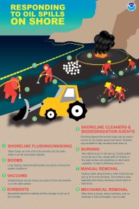 Responding to oil spills on coast: This graphic shows a synopsis of men and women using eight means of clearing up oil from shorelines. 1. Shoreline flushing/washing: Water hoses can rinse oil from shoreline into water, in which it may be quicker collected. 2. Booms: Long, floating, interconnected obstacles are accustomed to minmise the scatter of spilled oil. 3. Vacuums: Industrial-sized vacuum trucks can suction oil from the shoreline or in the water area. 4. Sorbents: Specialized absorbent products behave like a sponge to get oil  not water. 5. Shoreline cleansers and biodegradation representatives: Chemical cleaners that become saops may be used to pull oil, but require special permission. Nutrients can be added to assist microbes break up oil. 6. Burning. Generally known as