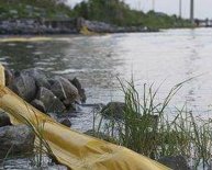 Bacteria used in oil spill clean up