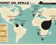 BP Horizon oil spill Timeline