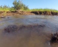 Deep Water Horizon oil spill environmental impact