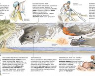 Deepwater Horizon oil spill cleanup methods