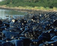 Exxon Valdez oil spill Trustee Council